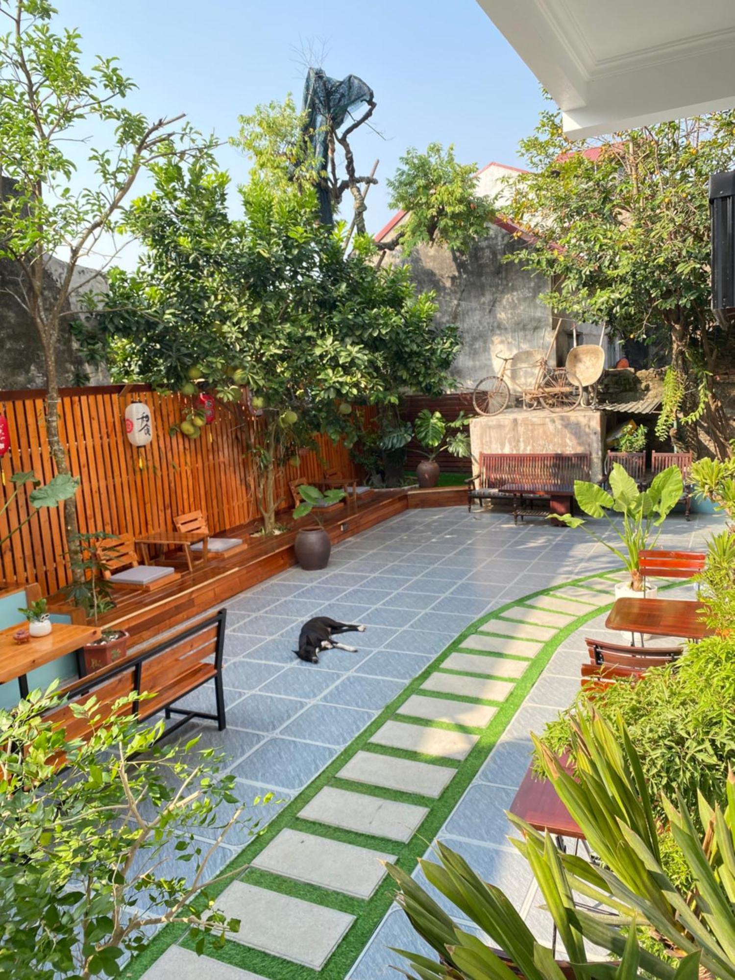 Ohayo Tam Coc Homestay ニンビン エクステリア 写真