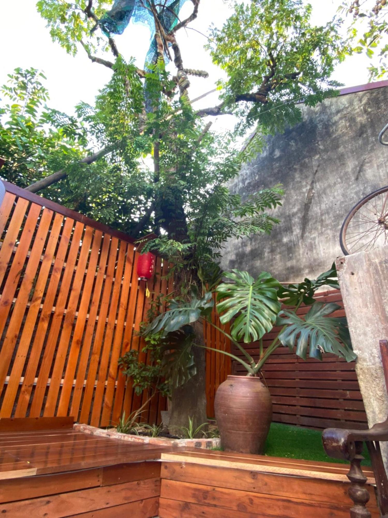 Ohayo Tam Coc Homestay ニンビン エクステリア 写真