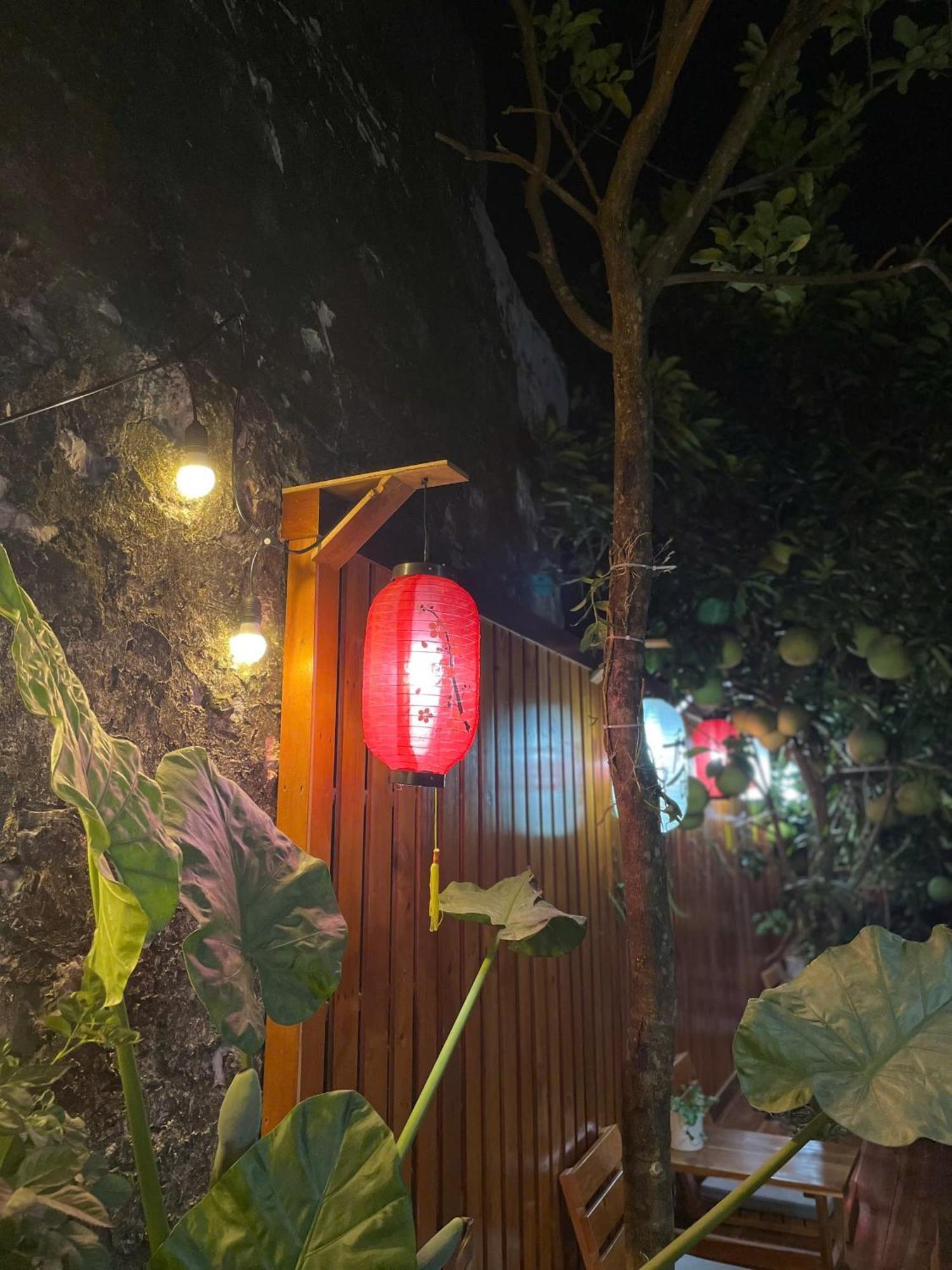 Ohayo Tam Coc Homestay ニンビン エクステリア 写真