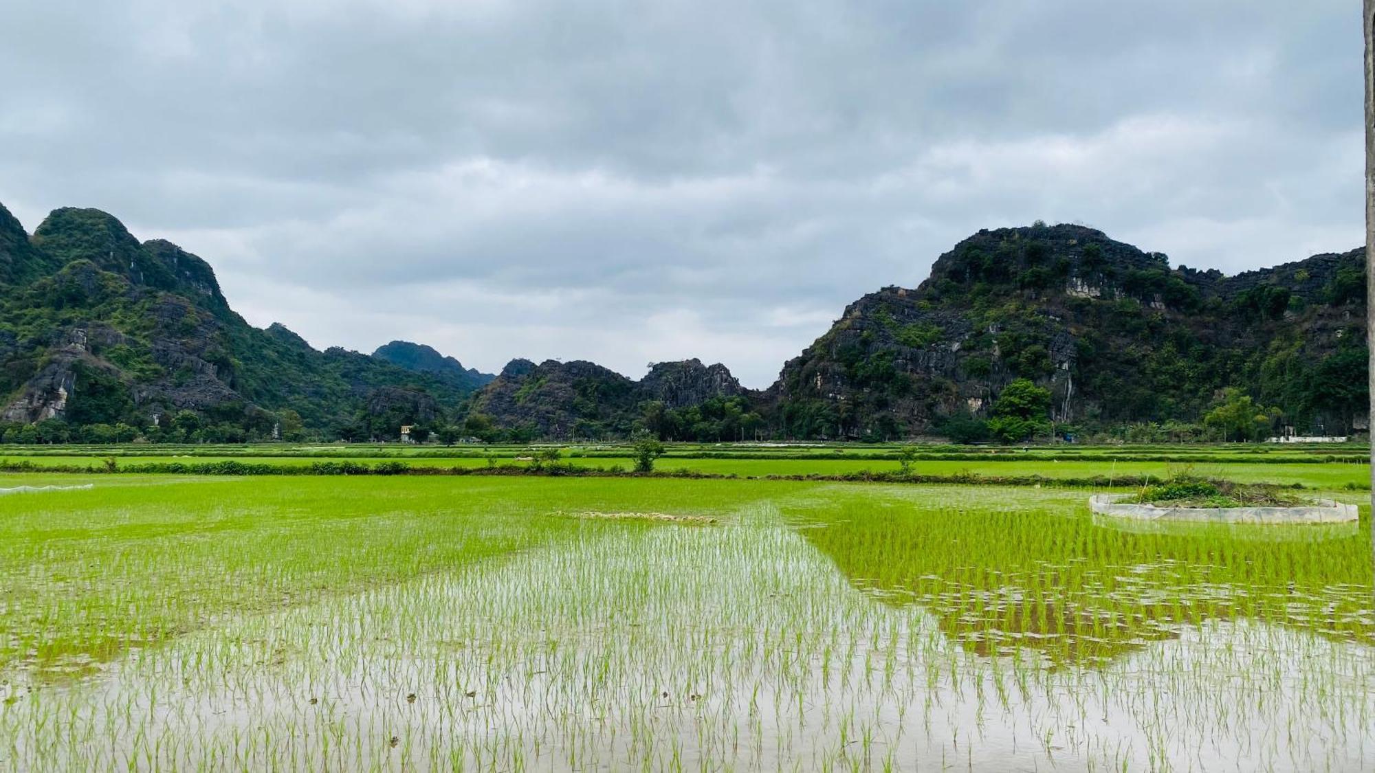 Ohayo Tam Coc Homestay ニンビン エクステリア 写真